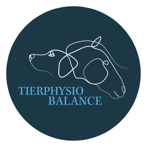 Tierphysio Balance
